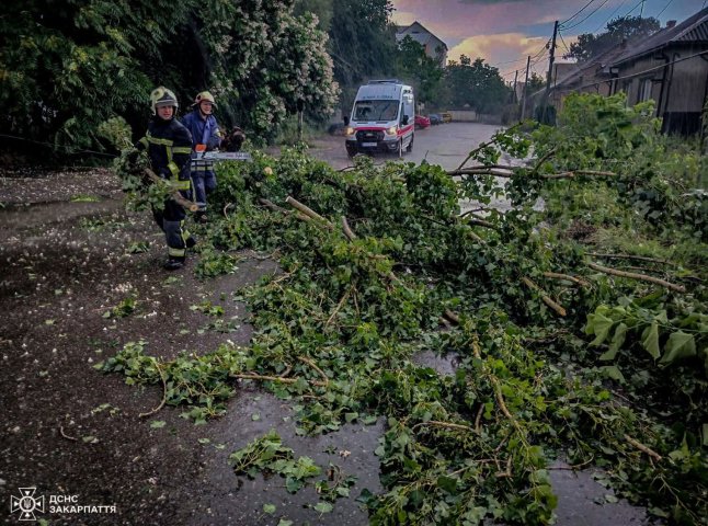 Працювали рятувальники: негода наробила біди в Ужгороді та Виноградові