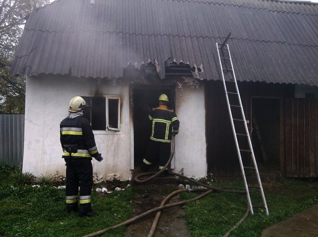 55-річний чоловік згорів у будинку сина