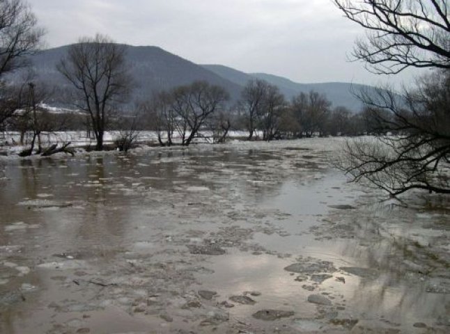 У Гідрометцентрі занепокоєні підняттям рівня води у річках Закарпаття
