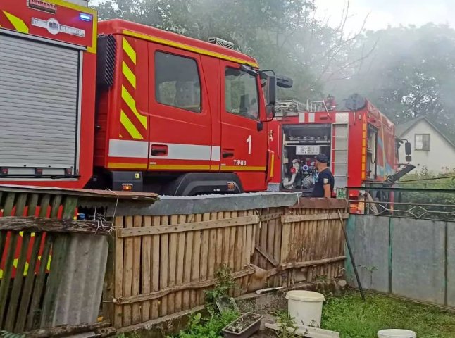 Пожежа на Закарпатті: господарі та рятувальники спільно приборкували вогонь