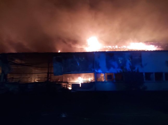 Опубліковано відео страхітливої пожежі в Мукачеві