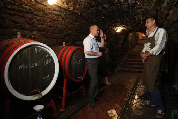 Під час візиту на Берегівщину губернатор Закарпаття пообіцяв захистити виноробів і пивоварів – 10