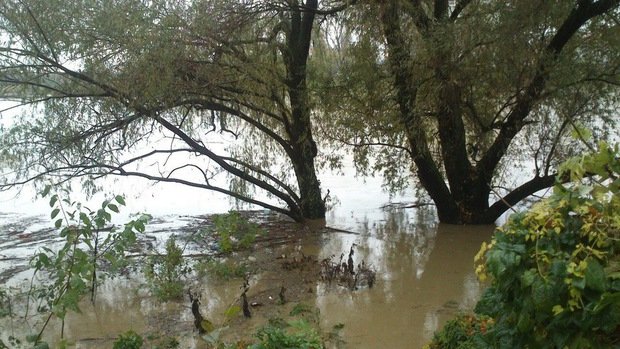 В Ужгороді вода частково підтопила Боздоський парк – 01