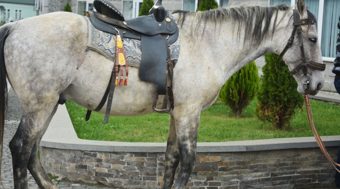 У Хусті відзначили День Габора Бетлена – 04