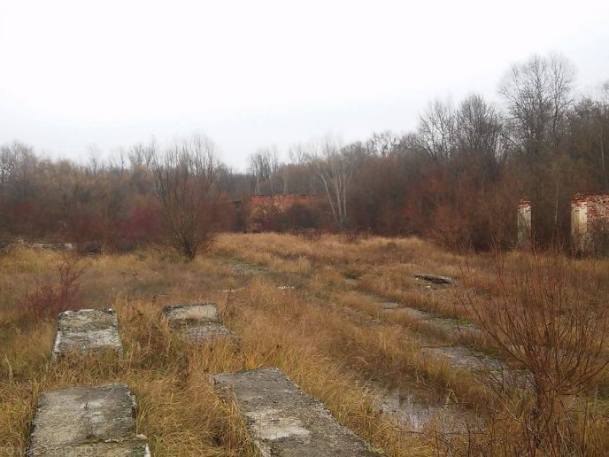 Мукачівський аеродром нагадує зону відчуження: як він зараз виглядає – 03