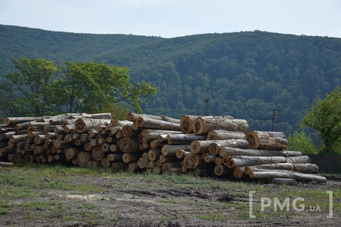 Закарпатці у маленькому селі виготовляють продукцію, яку купують у найрозвиненіших європейських країнах – 16