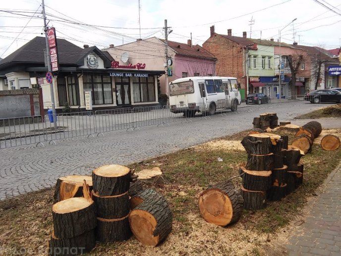 Комунальники зрізали на вулиці Пушкіна у Мукачеві паркан та кілька дерев – 02