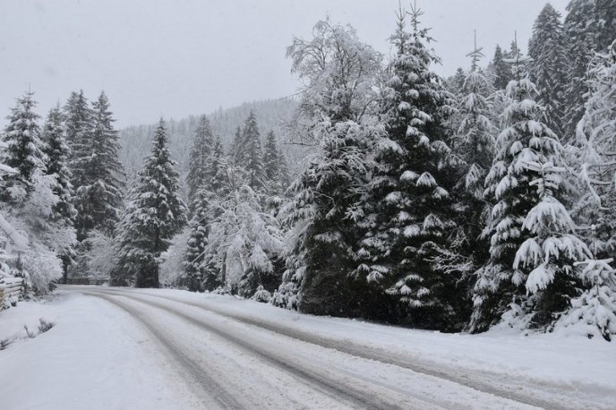 Зимова казка: мережею ширяться неймовірні світлини гір Закарпаття – 06 Зимова казка: мережею ширяться неймовірні світлини гір Закарпаття – 06