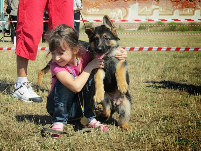 У Хусті відбудеться Національна виставка собак усіх порід (ФОТО) – 01