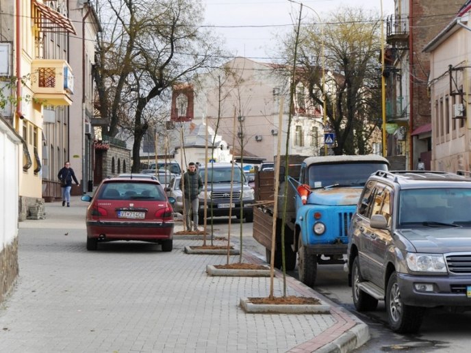 На одній з вулиць Ужгорода посадили дерева – 03