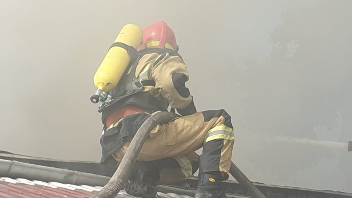 Закарпатські вогнеборці показали наслідки масштабної пожежі  – 17