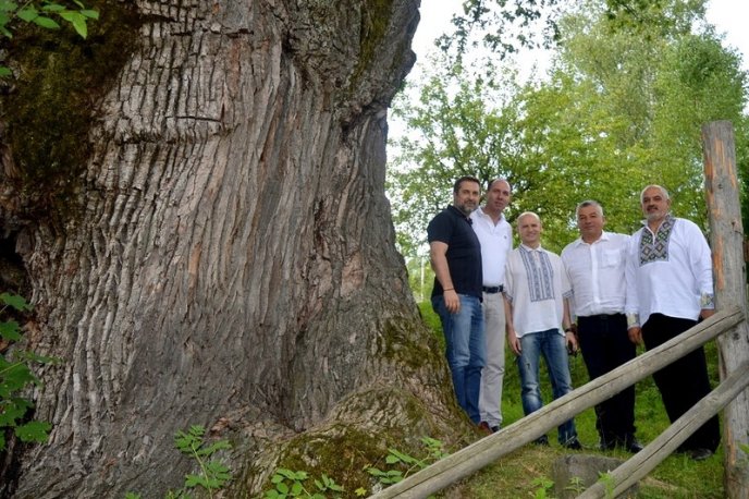 У мальовничому селі пройшов фестиваль "Праліс-фест" – 02