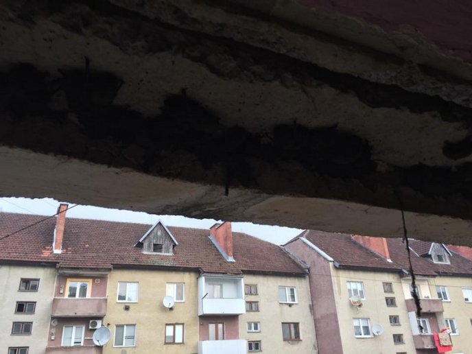 Під час ремонту у багатоповерхівці знайшли десятки кажанів – 03