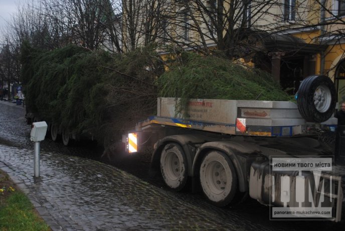 У Мукачеві встановлюють головну новорічну ялинку міста (ФОТО) – 03