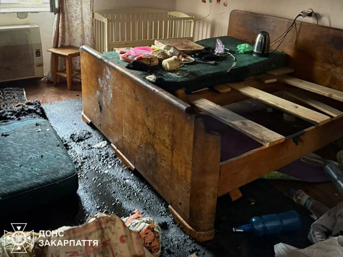 Пожежа у селі Невицьке