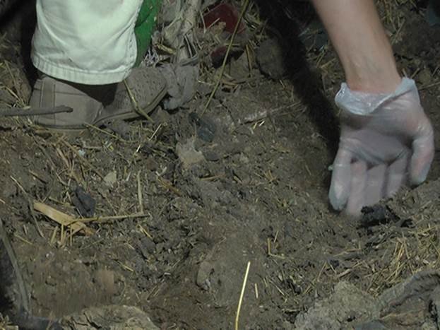 У Руській Кучаві жінка померла від ударів свого цивільного чоловіка – 06