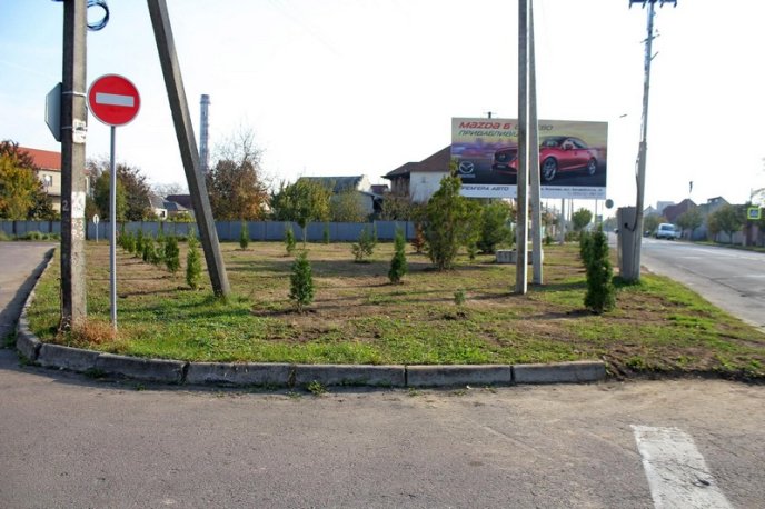 На одному з перехресть Мукачева провели благоустрій зеленої зони – 02