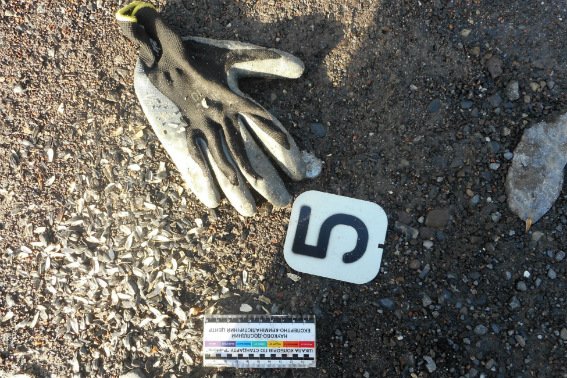 З’явилися подробиці резонансного розбійного нападу, під час якого вкрали 16 мільйонів гривень – 01