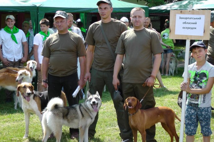 У Києві за нагороди змагались мисливські собаки із Закарпаття – 01