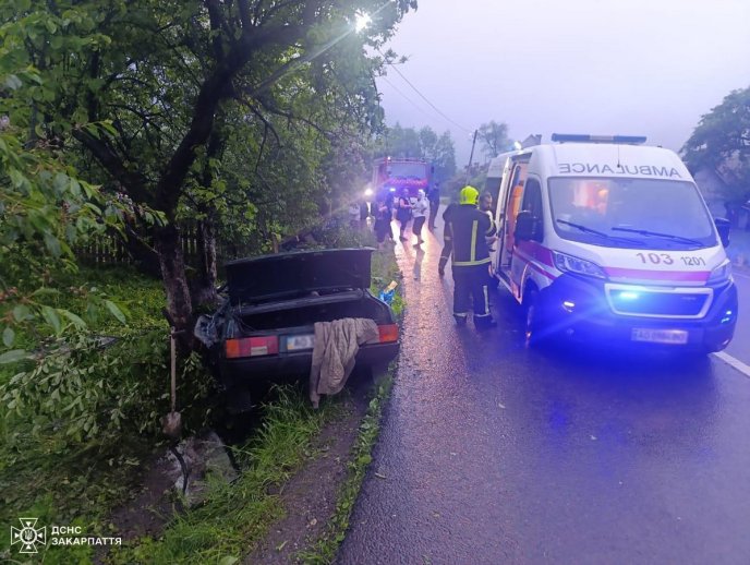 Водій не впорався з керуванням: внаслідок аварії постраждала дитина – 03