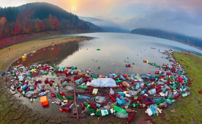 Купи сміття на Закарпатті: в мережі опублікували фото засмічених пейзажів – 01