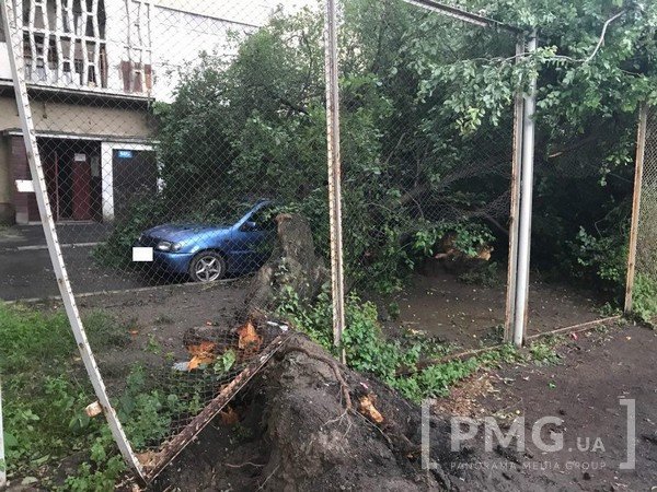 У мікрорайоні "Пентагон" у Мукачеві дерево впало на автомобіль – 04