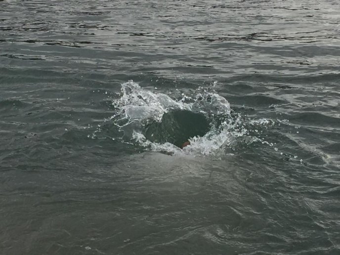 Як у Мукачеві воду освячували та занурювалися в Латорицю – 10