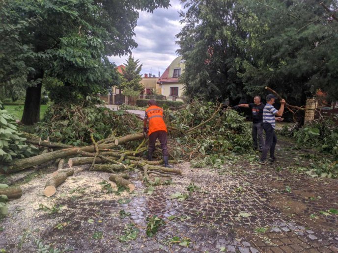 В Ужгороді комунальники ліквідовують наслідки негоди – 08