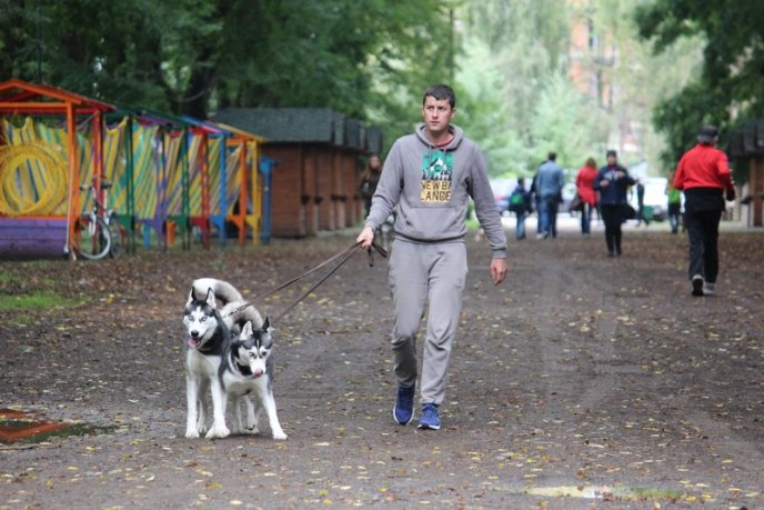 В Ужгород привезли понад 150 собак із різних областей України – 04