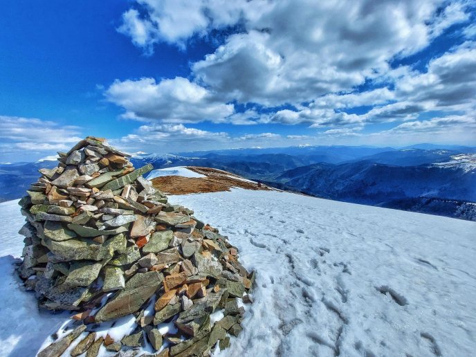 В мережі опублікували фото засніжених крокусів – 06 В мережі опублікували фото засніжених крокусів – 06