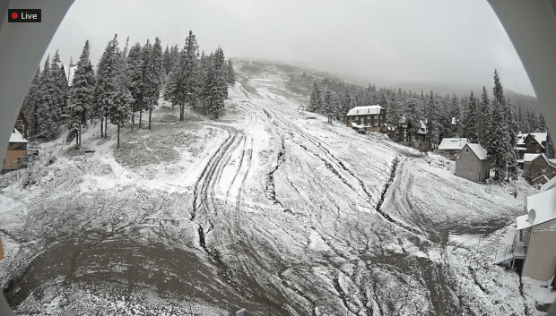 В горах справжня зима: Драгобрат і Буковель засипало снігом – 05