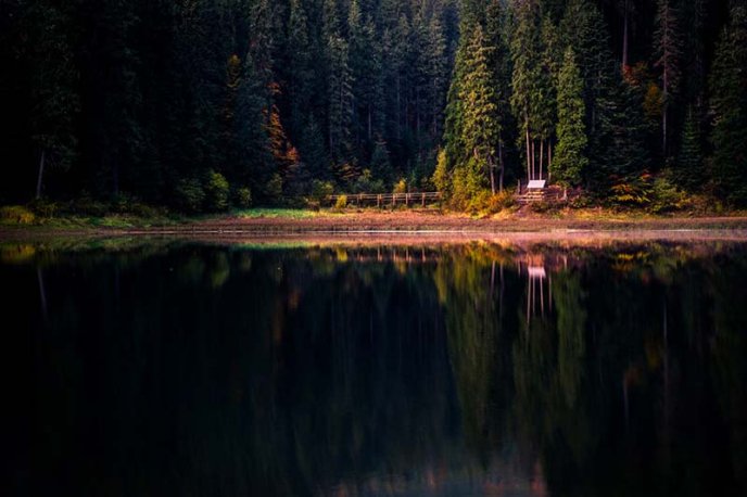 В Ужгороді відкрили фотовиставку, присвячену життю та побуту в Карпатах (ФОТО) – 01