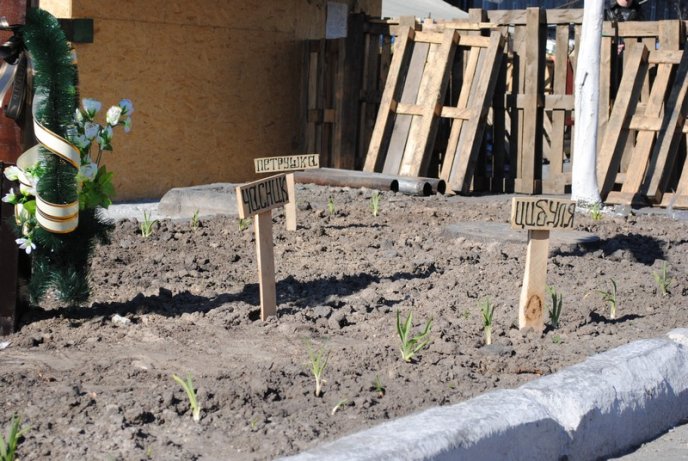 Один день з життя Майдану: на що перетворилась центральна площа України за місяць після революції (ФОТОРЕПОРТАЖ) – 20