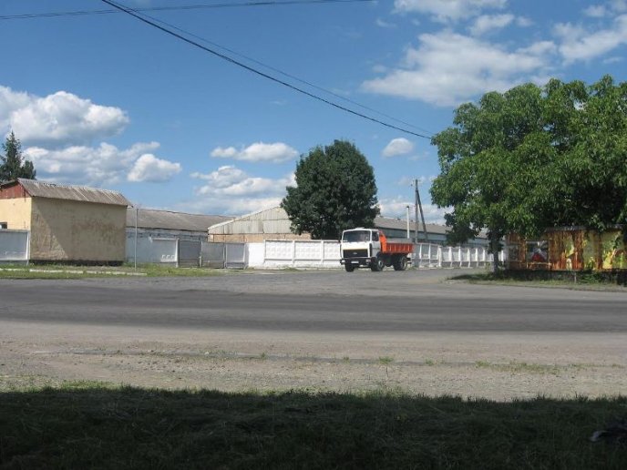 Мукачівці скаржаться на рух вантажівок, через який руйнуються дороги та будинки – 01