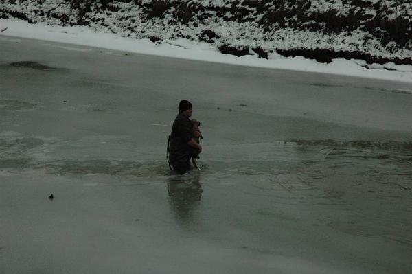 Закарпатець кинувся рятувати собаку, яка тонула у крижаній воді – 03