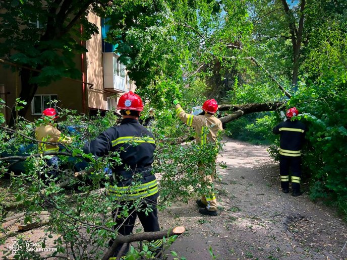 Одне дерево впало на автомобіль, а інше перекрило дорогу — подробиці від рятувальників – 02 Одне дерево впало на автомобіль, а інше перекрило дорогу — подробиці від рятувальників – 02