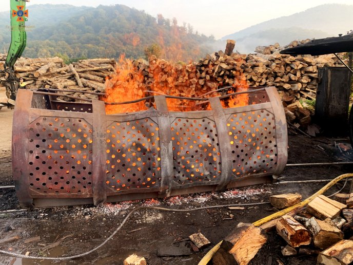 Рятувальники протягом 40 хвилин боролися з вогнем – 03