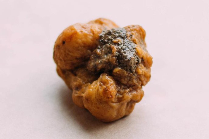 На Перечинщині знайшли гриба, який коштує кілька тисяч доларів – 02