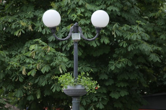 У центрі Мукачева комунальники встановлюють кашпо – 02