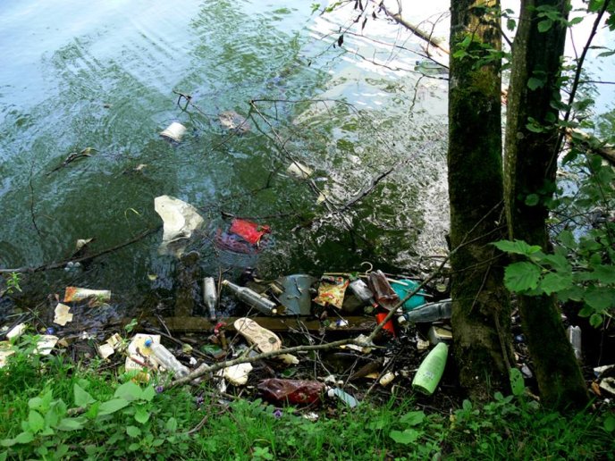 Найбільша штучна водойма Закарпаття нагадує більше смітник: пляжі знищено, а ловити рибу небезпечно – 03