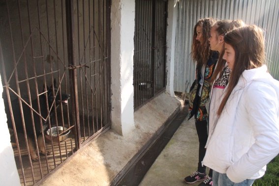 Вихованці Перечинської школи-інтернат відвідали кінологічний центр – 01