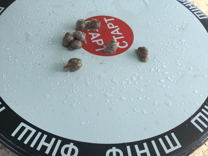 На Перечинщині відбулись незвичні перегони – 07