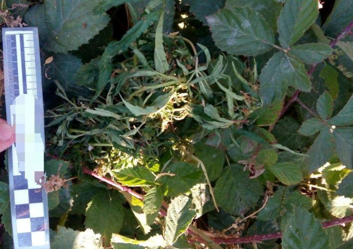 Патрульні Ужгорода наздогнали чоловіка з наркотиками і дитячою гойдалкою – 01