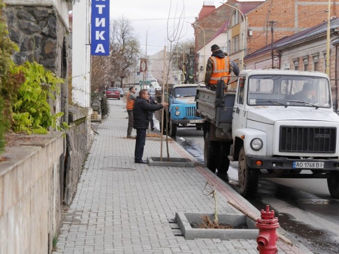 На одній з вулиць Ужгорода посадили дерева – 07
