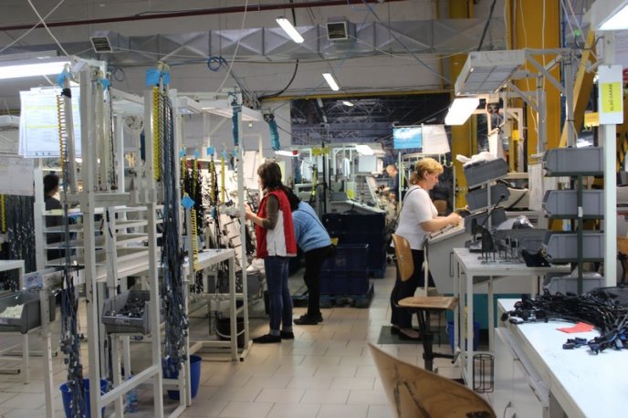 Як в Ужгороді виготовляють якісну кабельну продукцію для світових автобрендів – 06