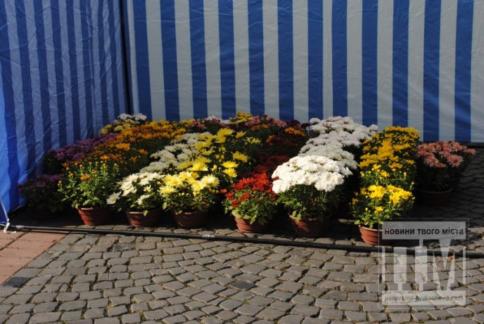 У Мукачеві поспішно запустили ярмарок, щоб прибрати "антибалогівський" намет? (ФОТО) – 03