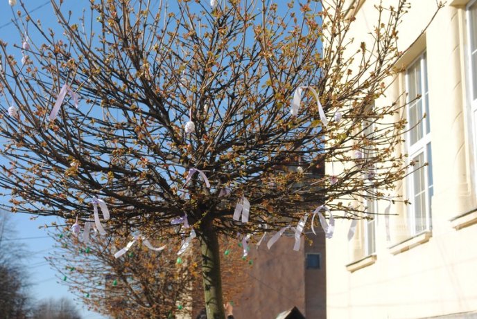 У Мукачеві студенти прикрашають дерева писанками та патріотичними стрічками (ФОТО) – 05