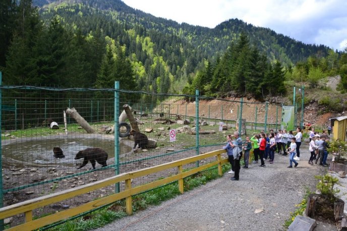 З’являється "ведмежий апетит": у Центрі реабілітації бурих ведмедів вже готуються до зими – 03 З’являється "ведмежий апетит": у Центрі реабілітації бурих ведмедів вже готуються до зими – 03