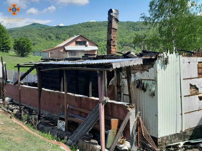 Рятувальники показали наслідки пожежі, яка вирувала у селі на Закарпатті – 03
