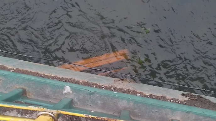 Невідомі скоїли у центрі Ужгорода ганебний вчинок – 02